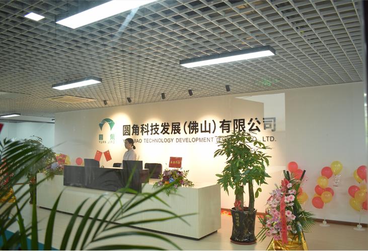 信息技术咨询服务 数字化转型中的战略导航者